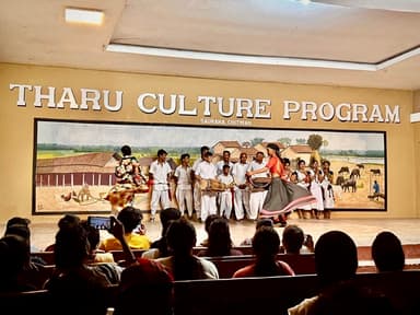 Tharu Cultural Dance 4