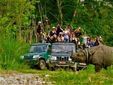 Chitwan Jungle Safari by Jeep
