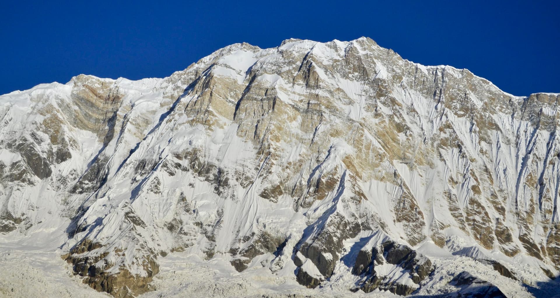 Annapurna South Expedition (7,219 m)