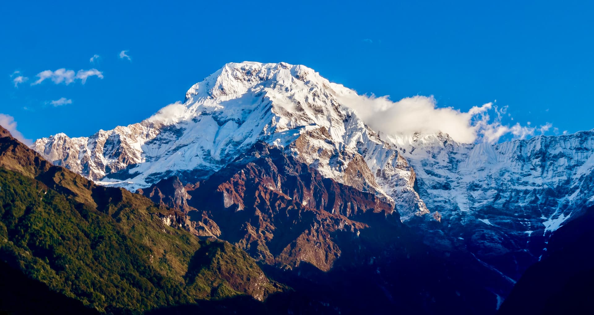Annapurna South Expedition (7,219 m)
