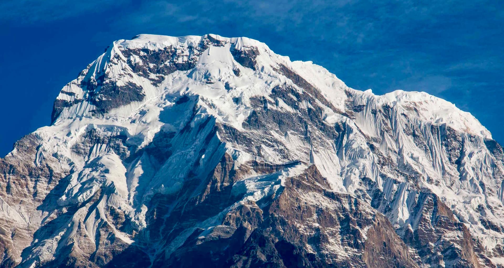 Annapurna South Expedition (7,219 m)