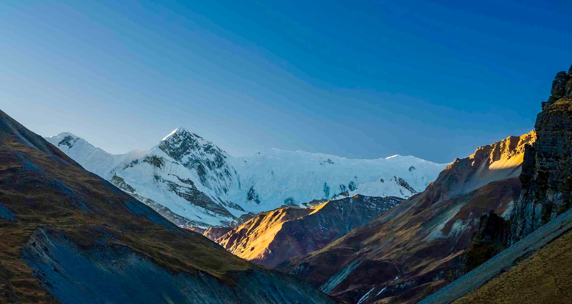 Gangapurna Expedition (7,455 m)