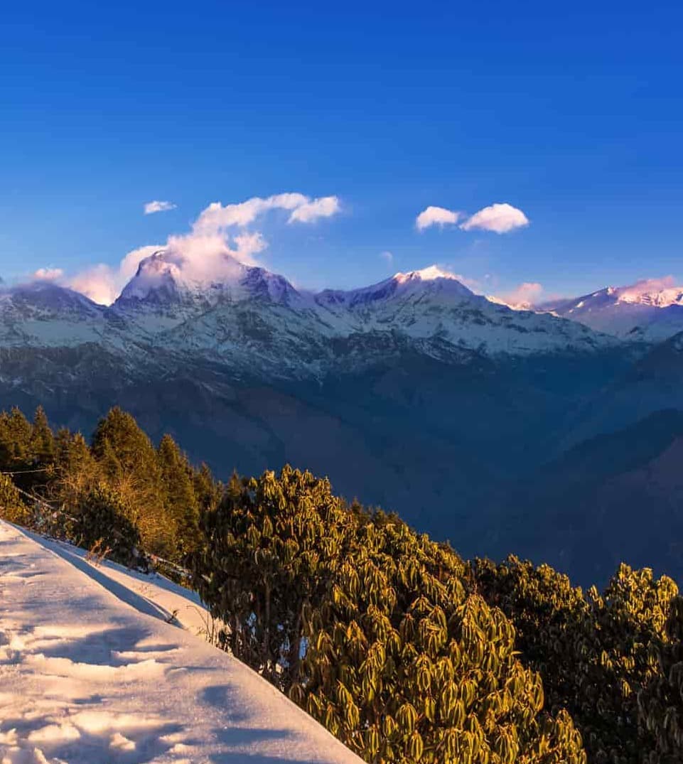 Ghorepani Poonhill Short Trek with Chitwan Jungle Safari