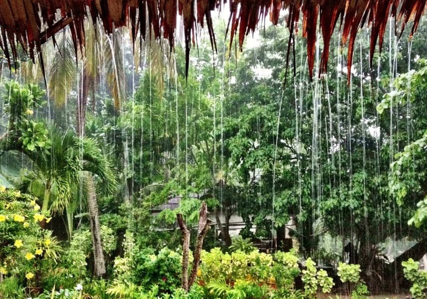 Monsoon Magic: Explore Nepal During the Rainy Season