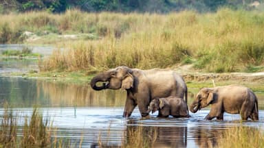 Rapti River in Chitwan National Park