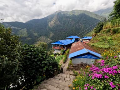 Sinuwa 1