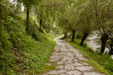 Drive from Pokhara to Phedi 1