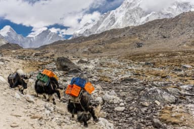 Lobuche