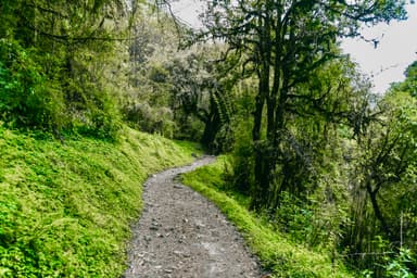 Majgaon to Lumle 3