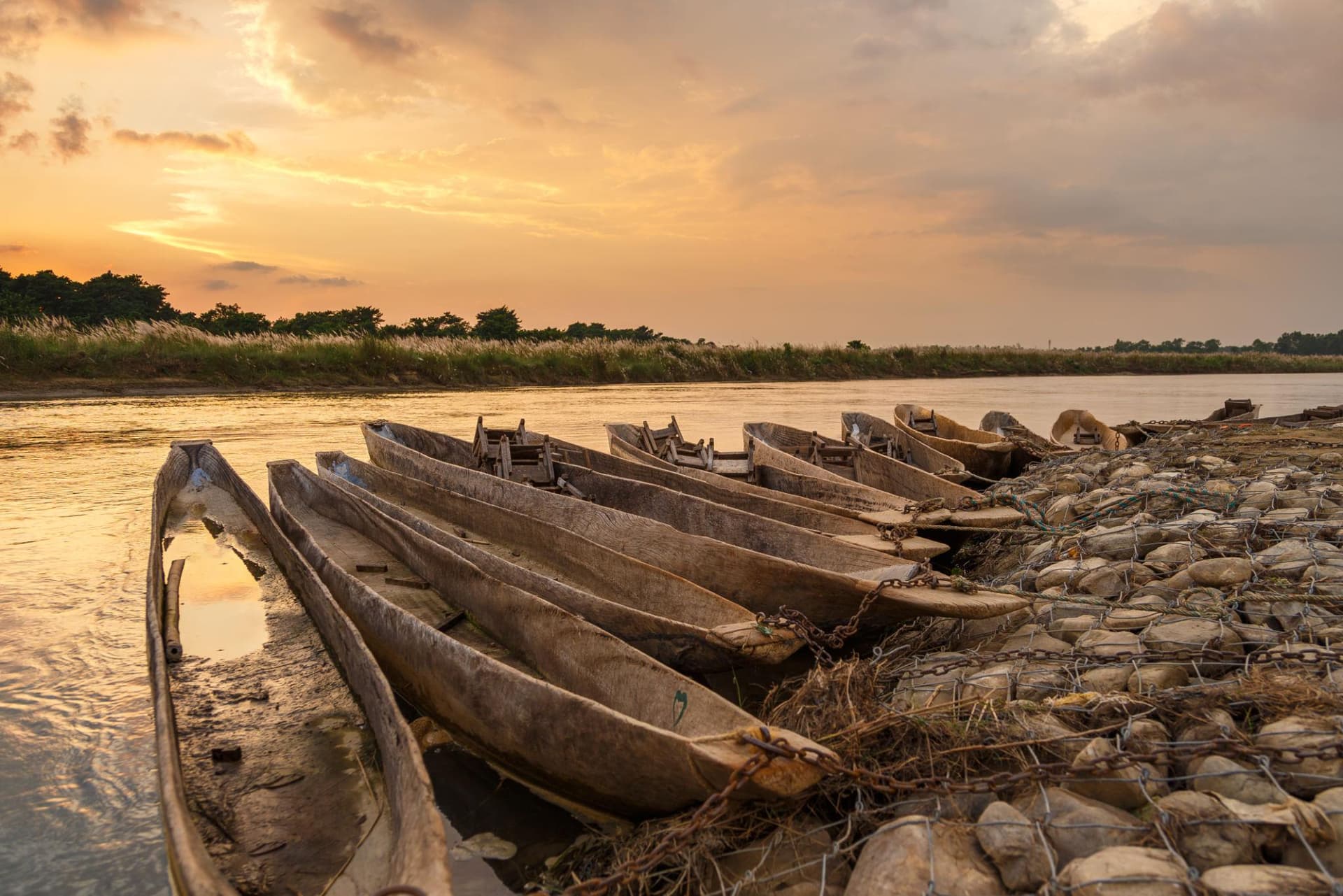 Chitwan 2
