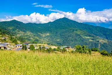 Trek from Dhampus to Sarangkot 4