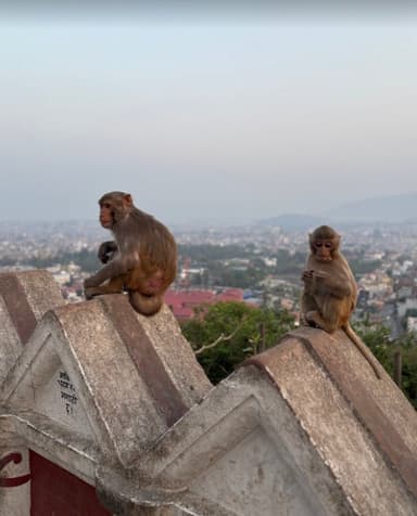 Swayambhunath_ss3