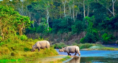 Chitwan National Park in Nepal