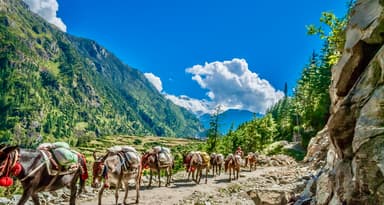 Annapurna Circuit Trek 16