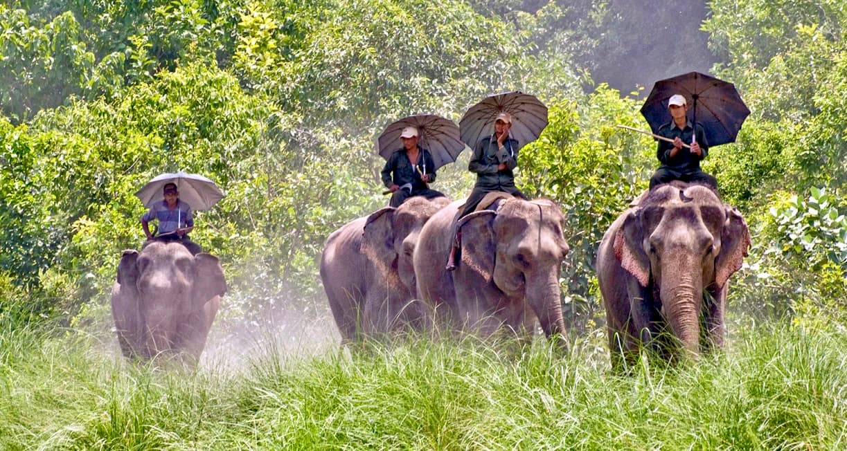 Bardiya National Park (1)