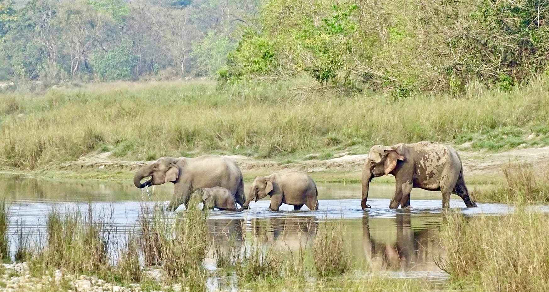 Bardiya National Park 3N 4D Trip