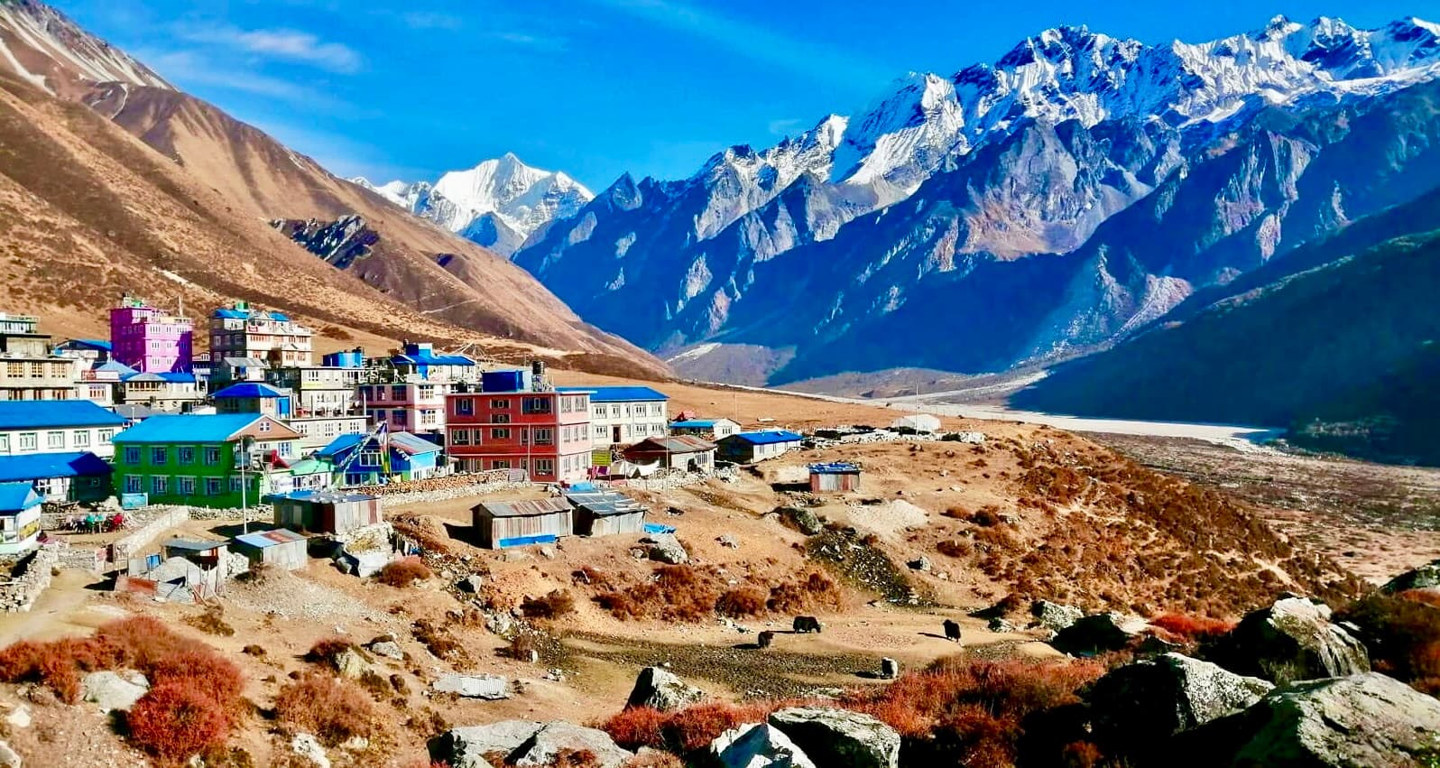 Langtang Valley Trek 3
