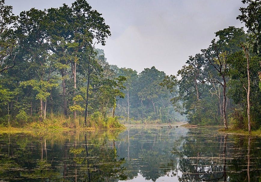 Chitwan National Park-The Unlimited Wilderness